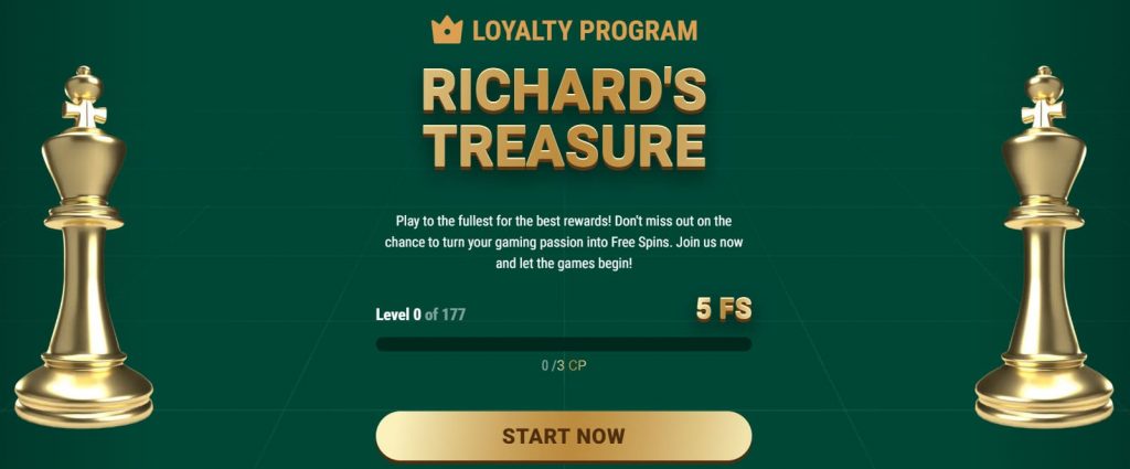 Richard Casino payment methods page